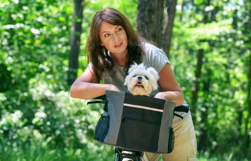 woman securing maltese into dog basket on a bike