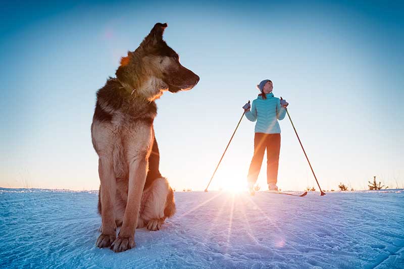 woman skiing with her dog