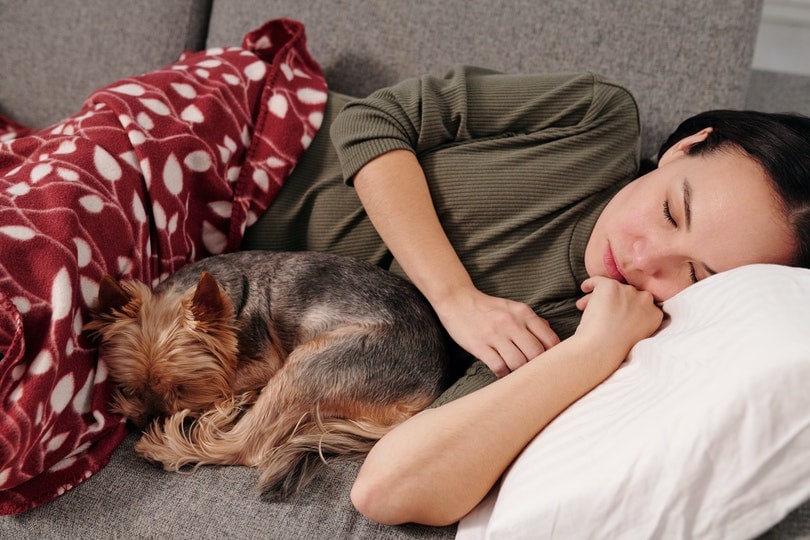 woman sleeping on sofa with dog