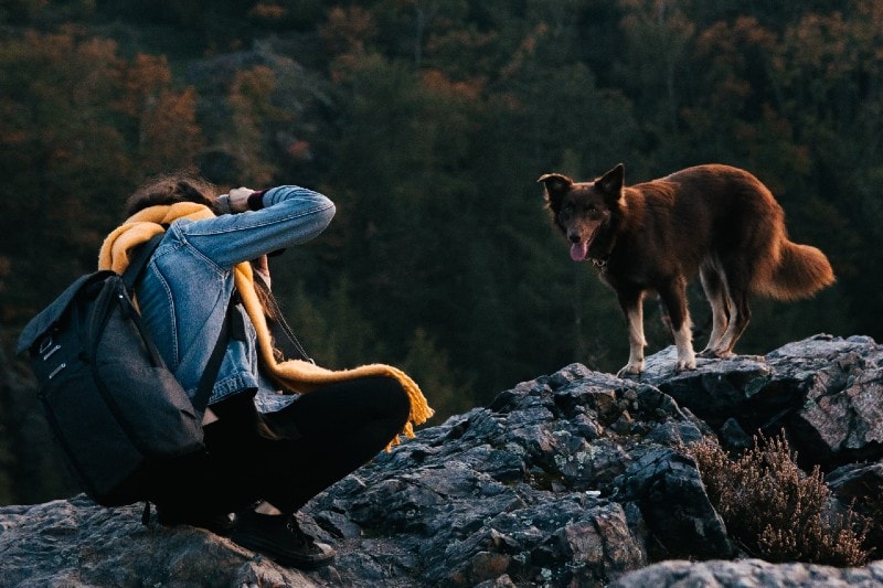 woman taking a photo of a dog in the mountains