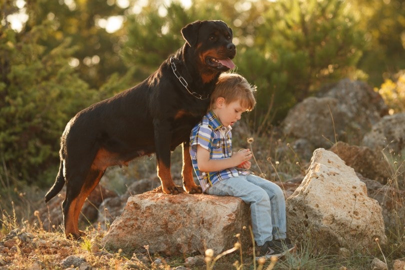 young boy with his pet rottweiler outdoors
