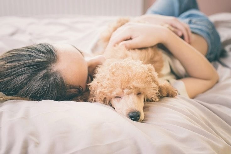 young girl sleeping with her dog