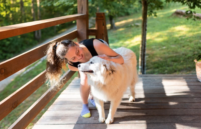 young woman petting a great pyrenees dog on the porch