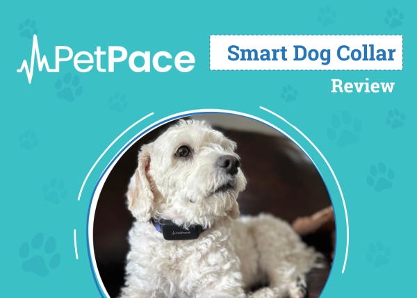 PetPace Smart Dog Collar