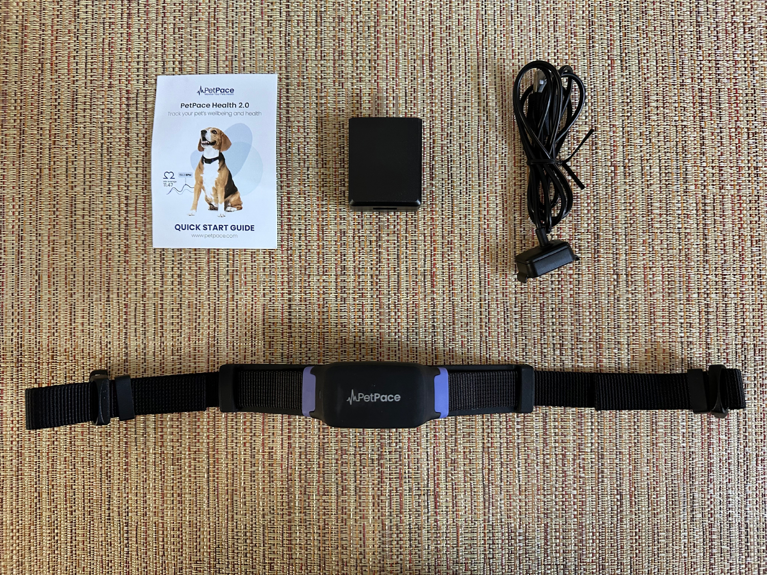 PetPace Smart Dog Collar - product contents
