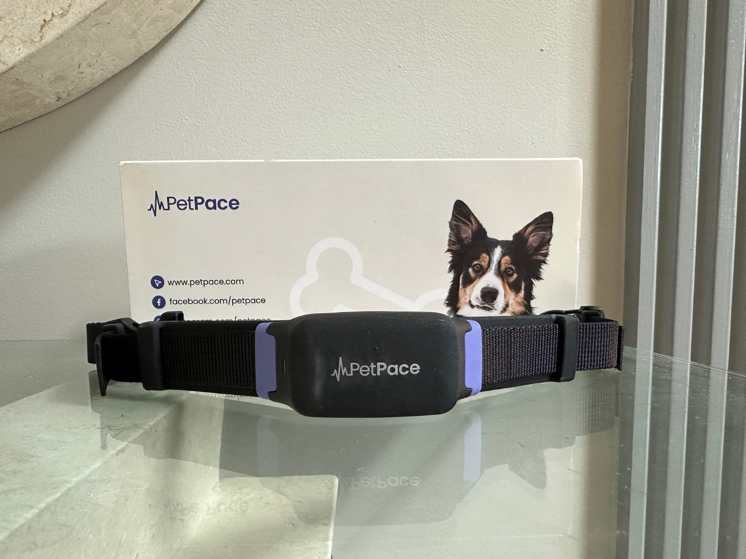 PetPace Smart Dog Collar - unboxing the product