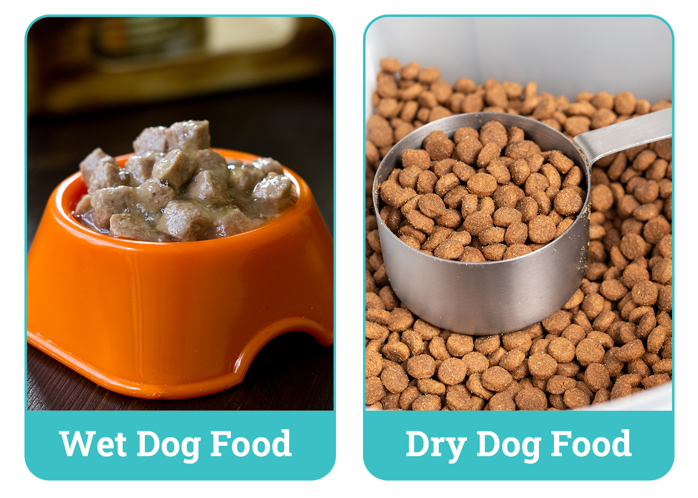 Wet vs Dry Dog Food side by side