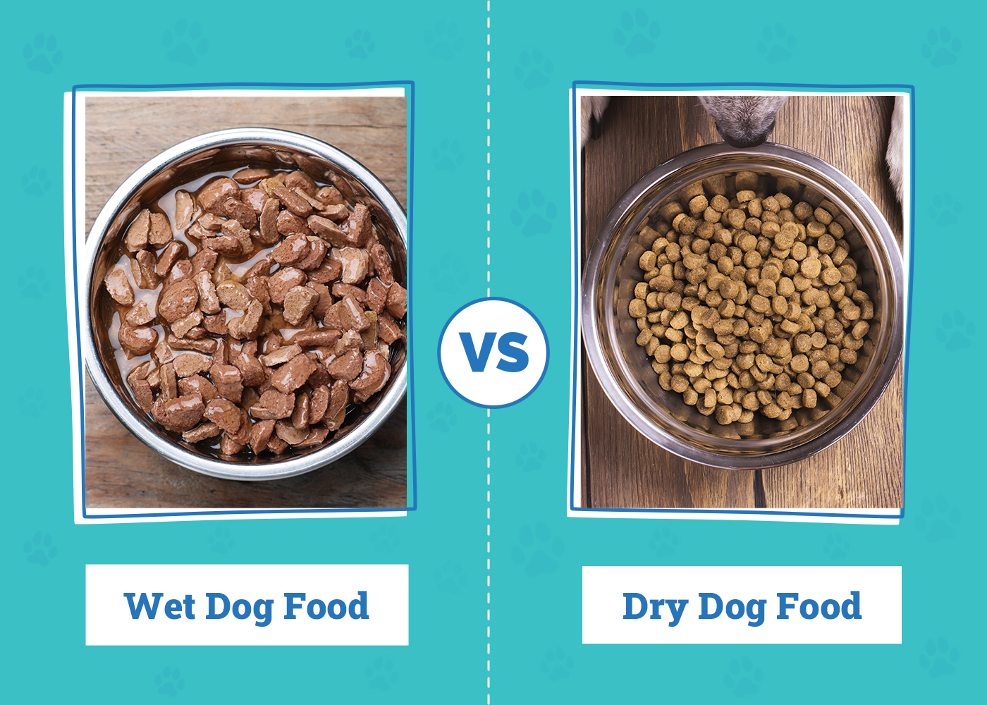 Wet vs Dry Dog Food