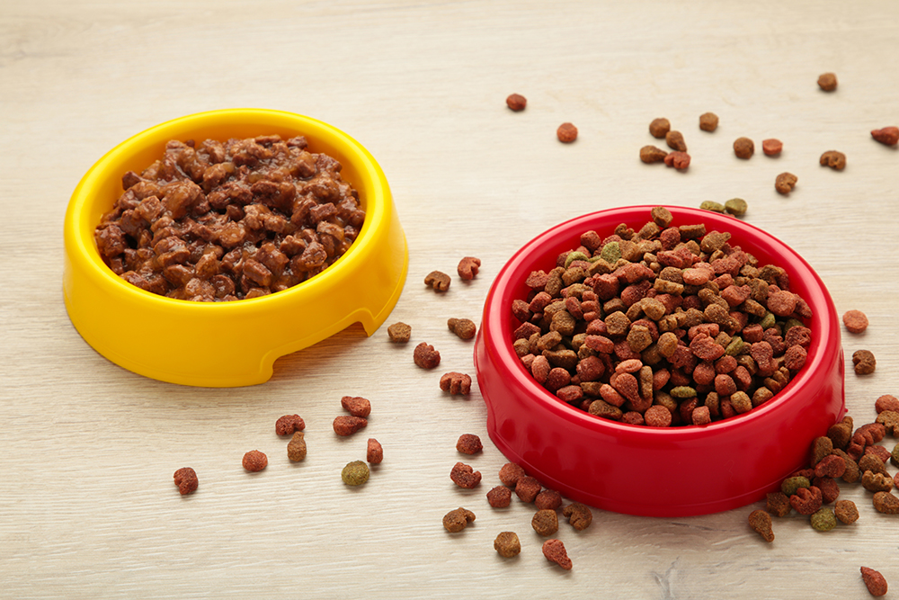 dry and wet food in feeding bowls