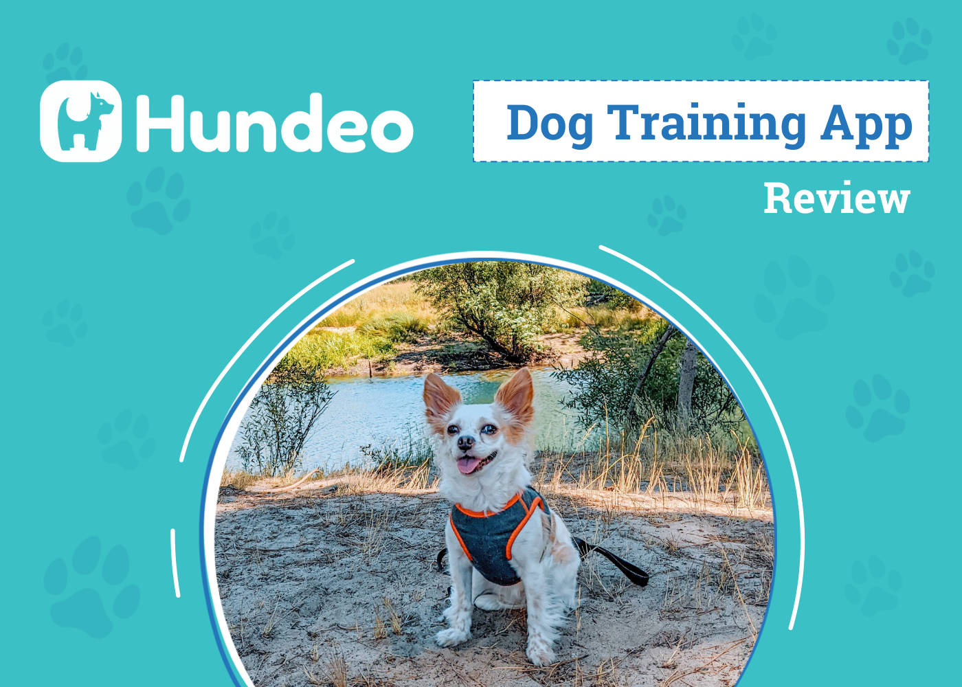 DOG_SAPR_Hundeo Dog Training App