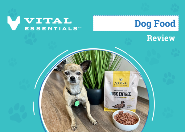 Vital Essentials Dog Food