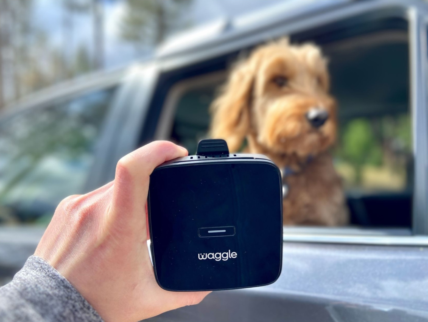 Waggle Pet Monitor Pro+ - holding monitor at car window