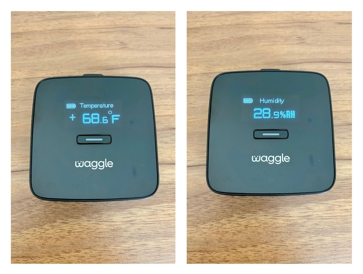 Waggle Pet Monitor Pro+ - monitor with temperature and humidity