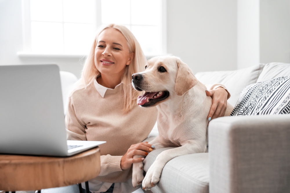a woman with her labrador retriever dog using a laptop
