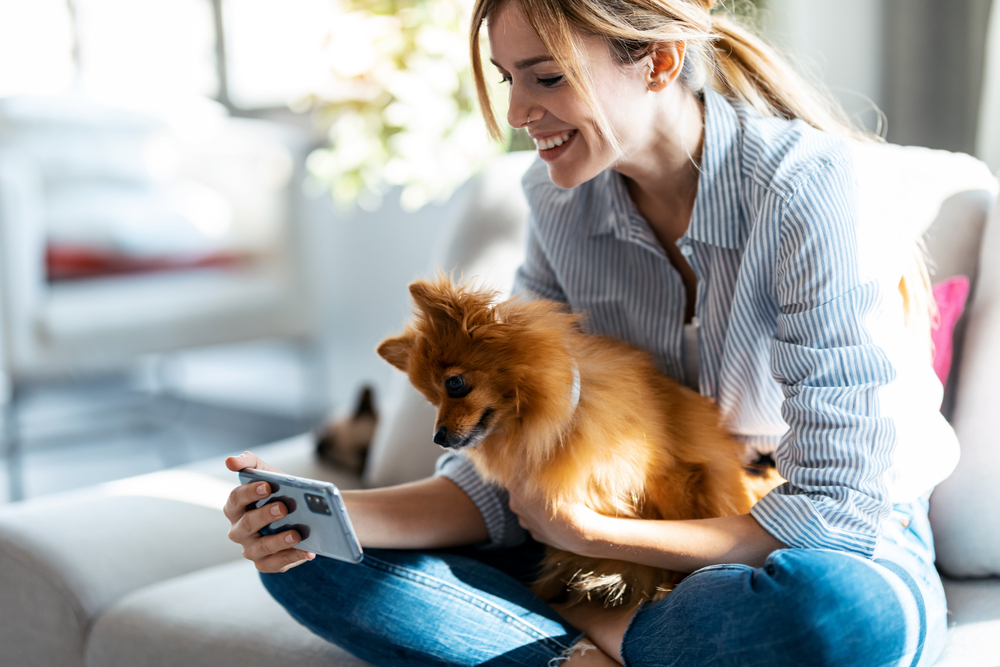 young woman with her cute dog using mobile phone while sitting on couch
